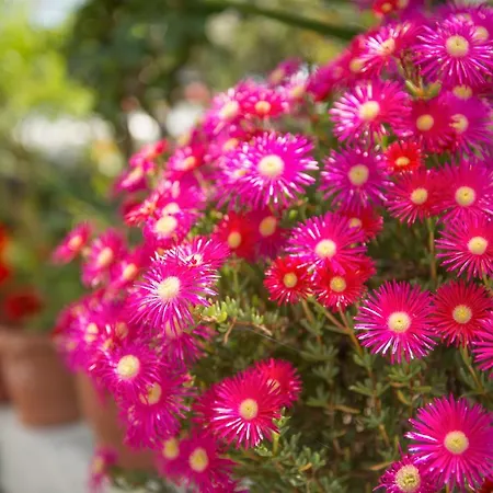 Aquamarine Apartments *